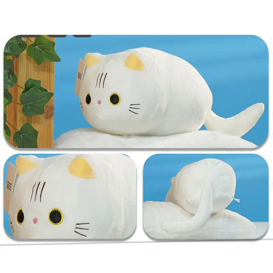 PELUCHE GATO BLANCO 30CM BEE 阿忠