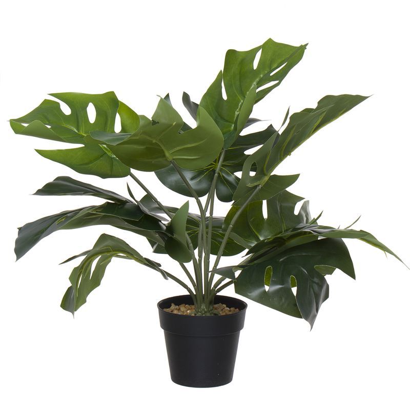 PLANTA ARTIFICIAL TROPICAL