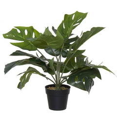 PLANTA ARTIFICIAL TROPICAL