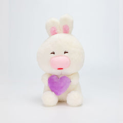  PELUCHE ABRAZO CONEJO 23CM